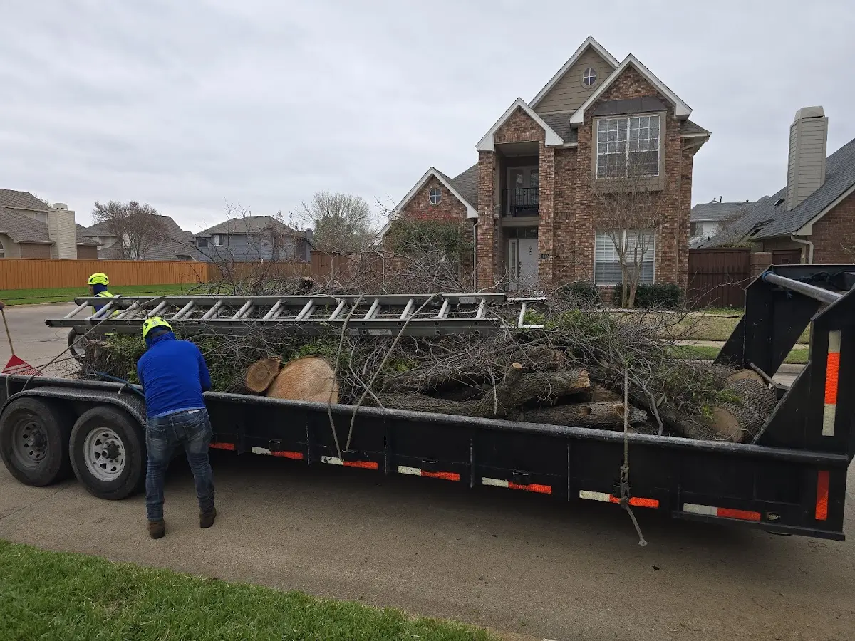 Expert Lot Clearing with proper safety equipment in Lafitte
